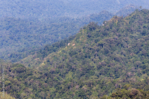    high angle viewpoint over rainforest mountains in Thailand. © Soonthorn