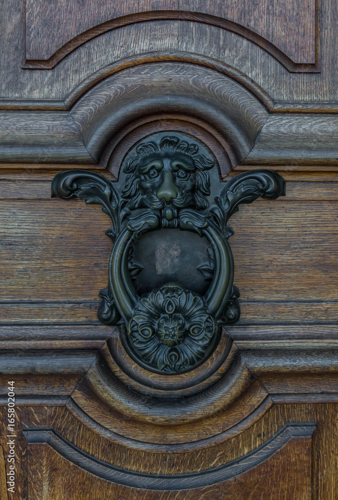 The old door knocker on a wooden door The old door knocker on a wooden door