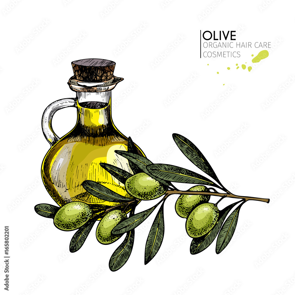 Vector set of hair care ingredients. Organic hand drawn elements. Farm market vegetables. Colored green olive branch, bottle. Vector set of hair care ingredients. Organic hand drawn elements. Farm market vegetables. Colored green olive branch, bottle.