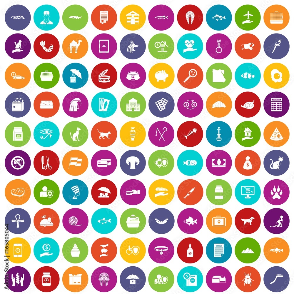 100 cat icons set color 100 cat icons set color