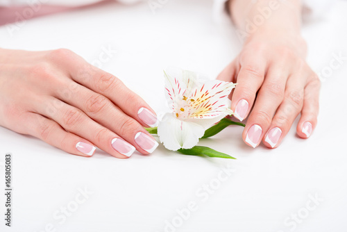 close-up view of female hands with beautiful manicure holding orchid flower on white