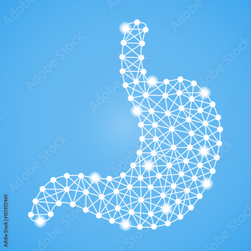Human Stomach Isolated On A Blue Background. Vector Illustration.Gastroenterology. Creative Medical Concept