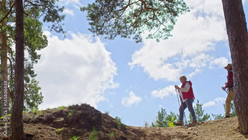 Low angle of senior woman and elderly man in vests leaning on trekking poles and walking along hill Low angle of senior woman and elderly man in vests leaning on trekking poles and walking along hill