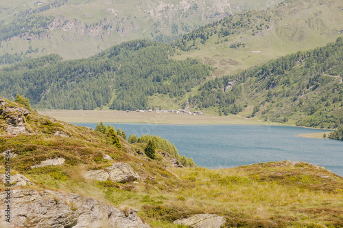 Maloja, Via Engiadina, Wanderweg, Höhenweg, Silsersee, Isola, Oberengadin, Alpen, Graubünden, Sommer, Schweiz photo