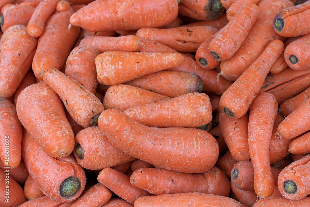 Fresh carrots at farmers market, Chile, South America Fresh carrots at farmers market, Chile, South America
