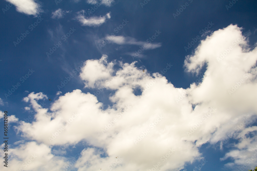 blue sky with cloud closeup blue sky with cloud closeup