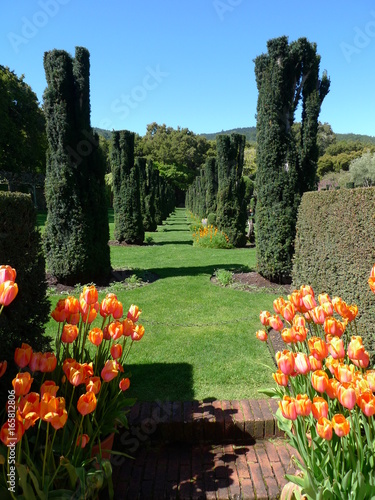giardino
