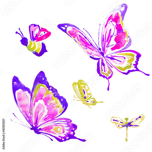 beautiful color  butterflies,watercolor,isolated on a white