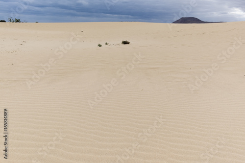 Sand dunes  Fuerteventura