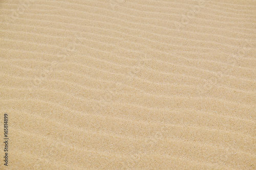 Sand dune, close up