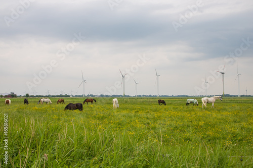 Nordische Landschaft