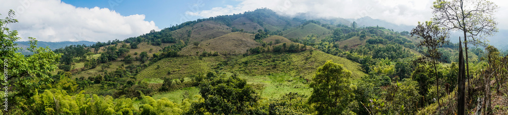 landscape landscape