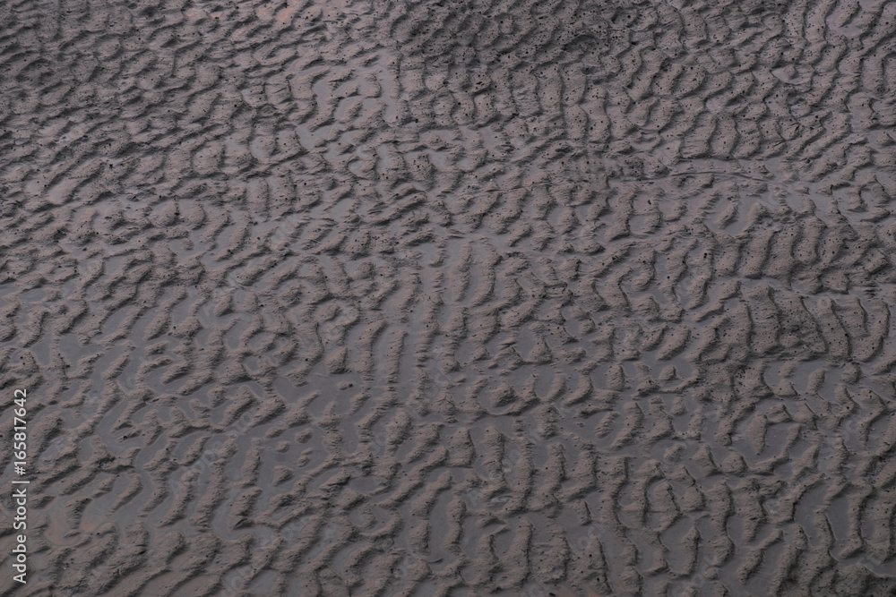 Soil texture background. Soil texture background.