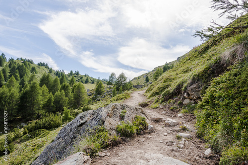 Maloja, Via Engiadina, Wanderweg, Höhenweg, Grevasalvas, Oberengadin, Alpen, Graubünden, Sommer, Schweiz photo