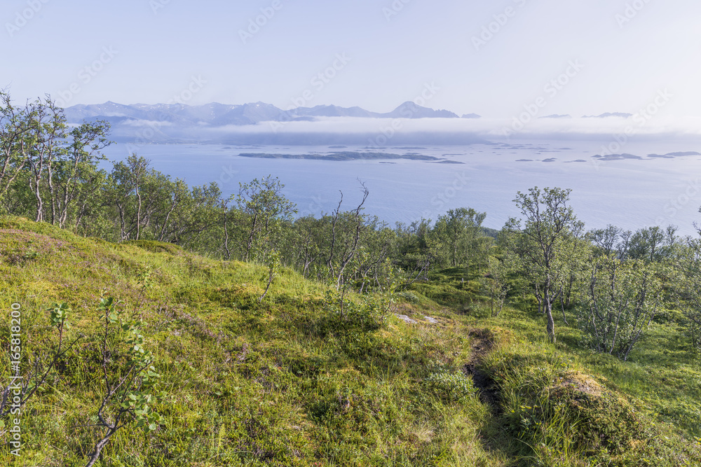 trail for hiking in nature, Senja, Norway
