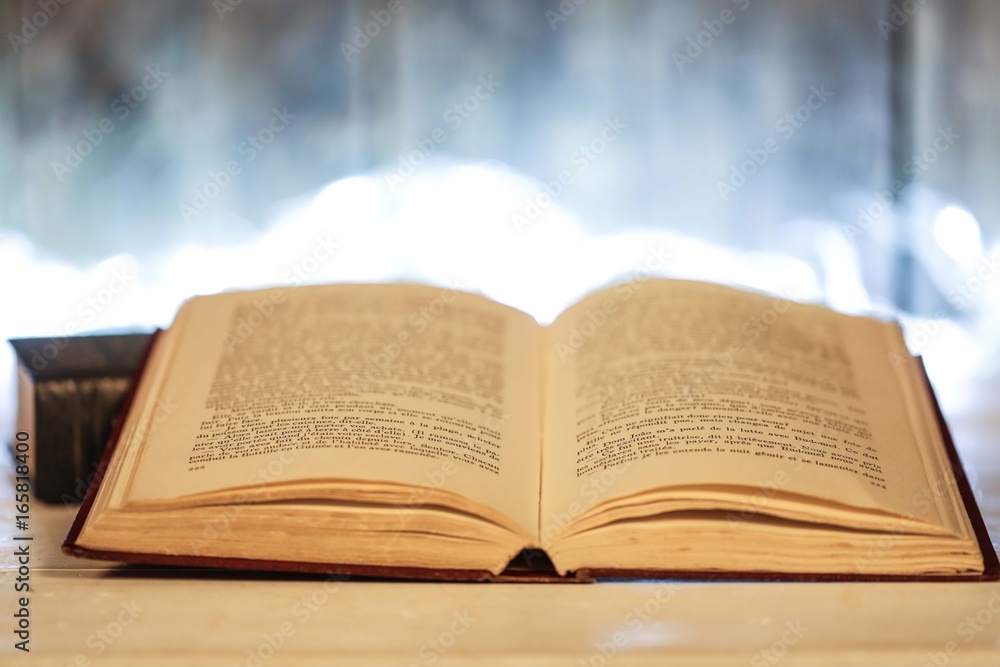 Obraz premium Livre ancien, 
