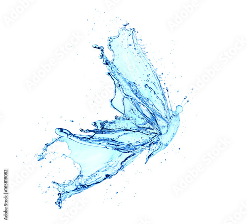 butterfly water splash isolated on white background