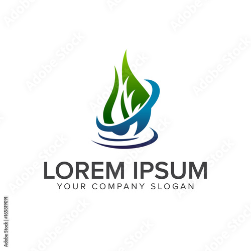 drop leaf logo design concept template