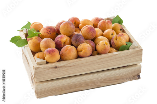 side view wood box with apricots on a white background