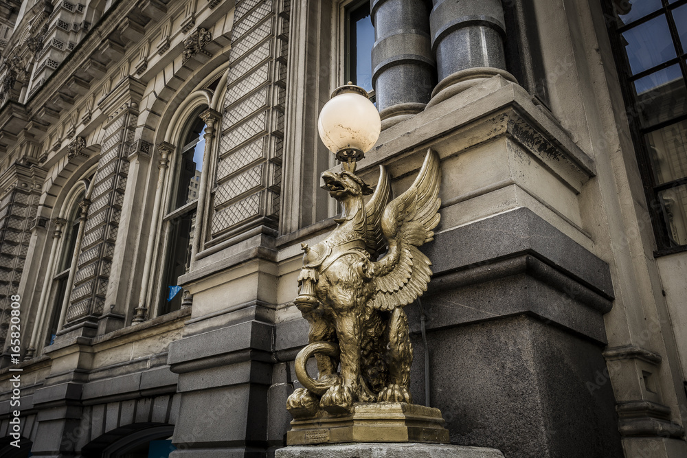 Obraz premium Golden griffin perched