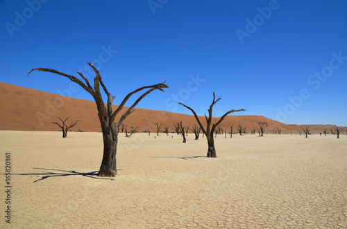 NAMIBIA - Wüsten dieser Welt