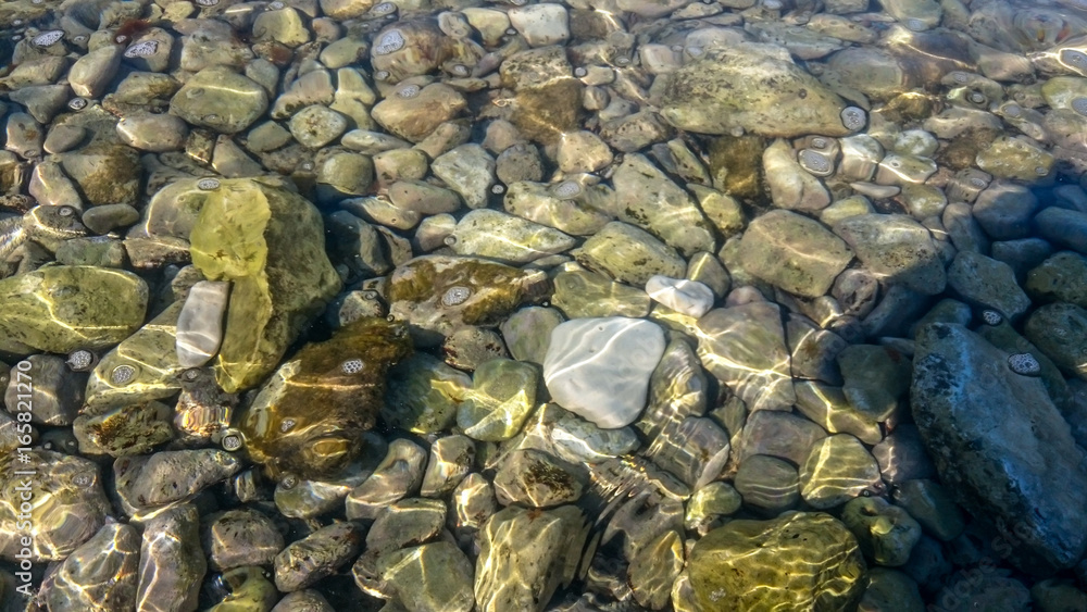 Peebles in the adriatic sea