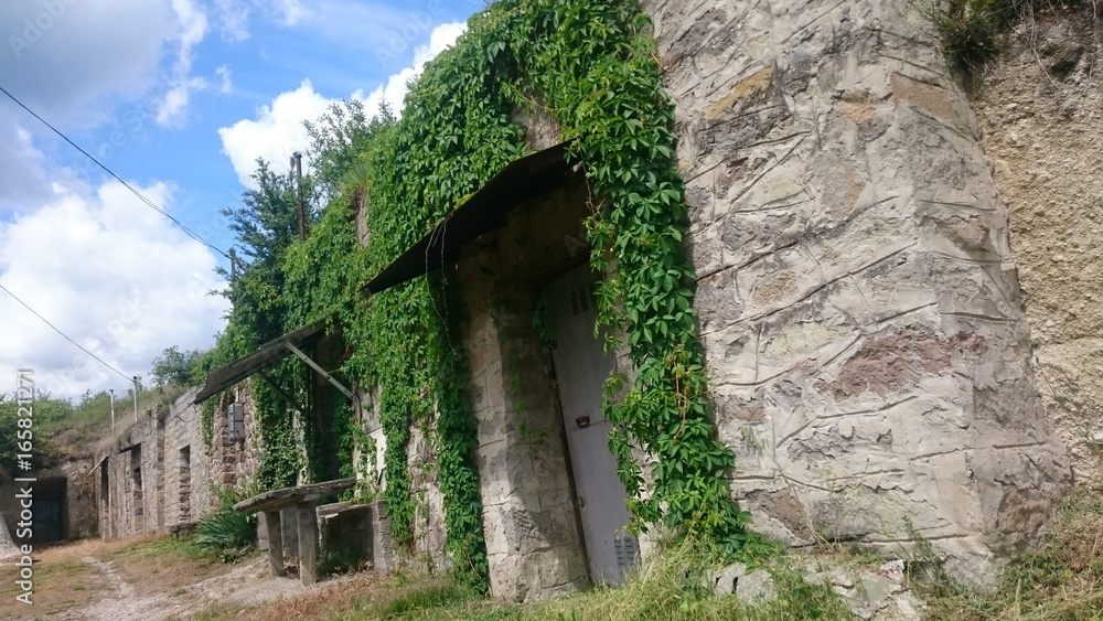 Old Wine cellars