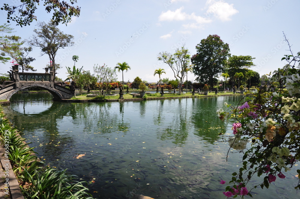 Fototapeta premium Bali
