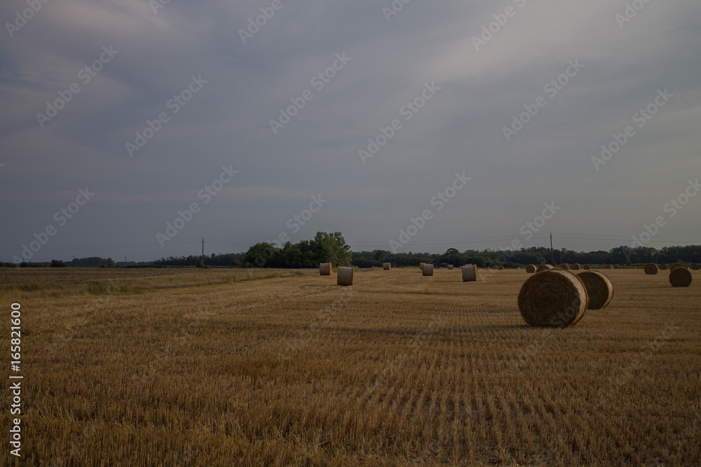 Fototapeta premium hay bales