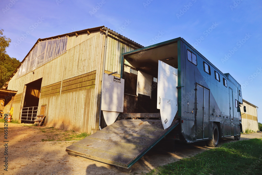 camion transport chevaux