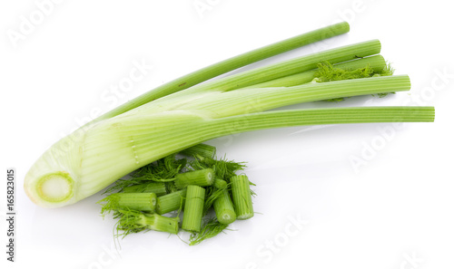 closeup fresh fennel bulb isolated on white background photo