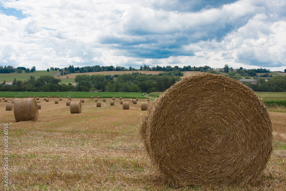France, lot et garonne, Nérac, ballots de paille. France, lot et garonne, Nérac, ballots de paille.