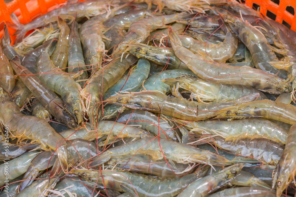 Shrimp farming in salt water farms is sold as a raw material for cooking food for people. Shrimp farming in salt water farms is sold as a raw material for cooking food for people.