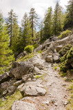 Maloja, via Engiadina, Wanderweg, Höhenweg, Naturweg, Wald, Grevasalvas, Sils, Oberengadin, Alpen, Graubünden, Sommer, Schweiz