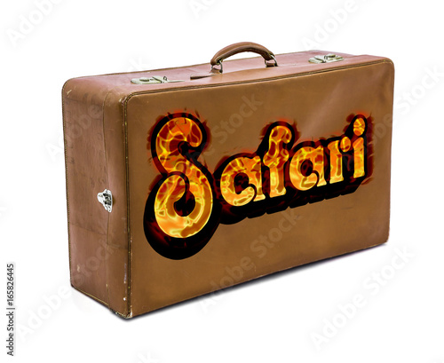 Alter Safarikoffer