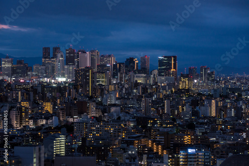 Night view of Tokyo                     