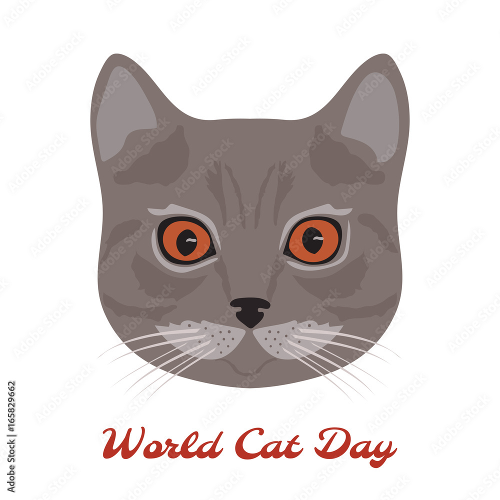 World cat day. Cat head close-up World cat day. Cat head close-up