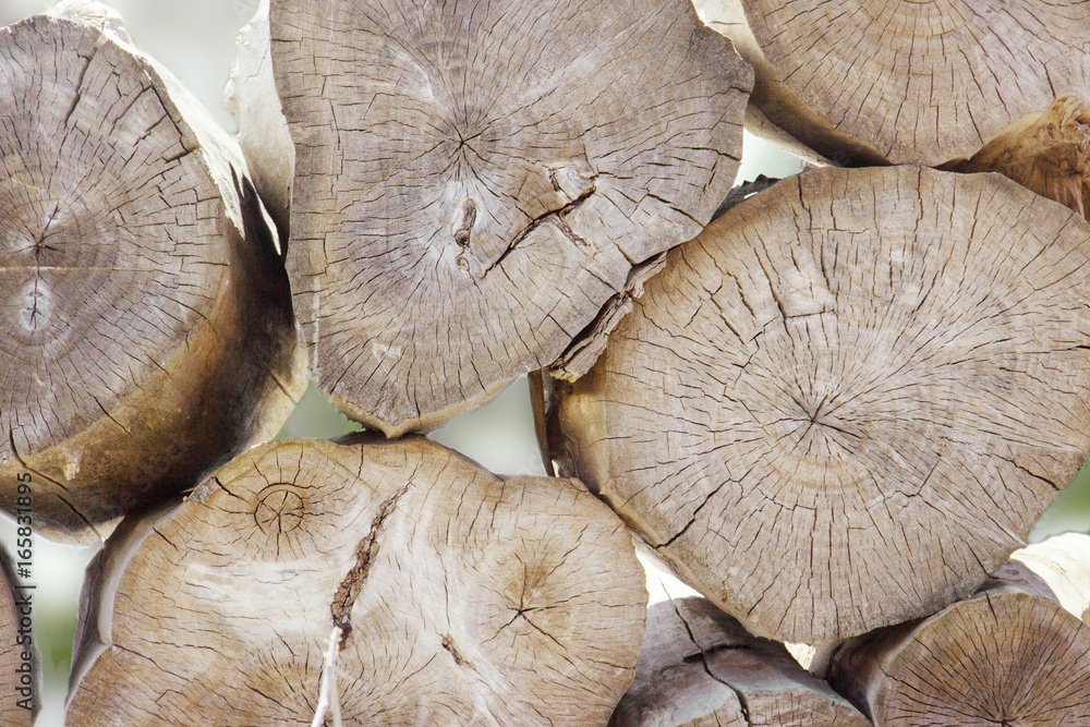 Pile of tree stumps, woods structure. The spears of huge trees are stacked in a sawmill. Light Background Logging. Pile of tree stumps, woods structure. The spears of huge trees are stacked in a sawmill. Light Background Logging.