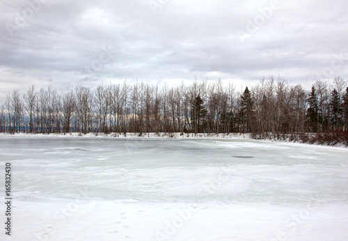 frozen pond and bare trees
