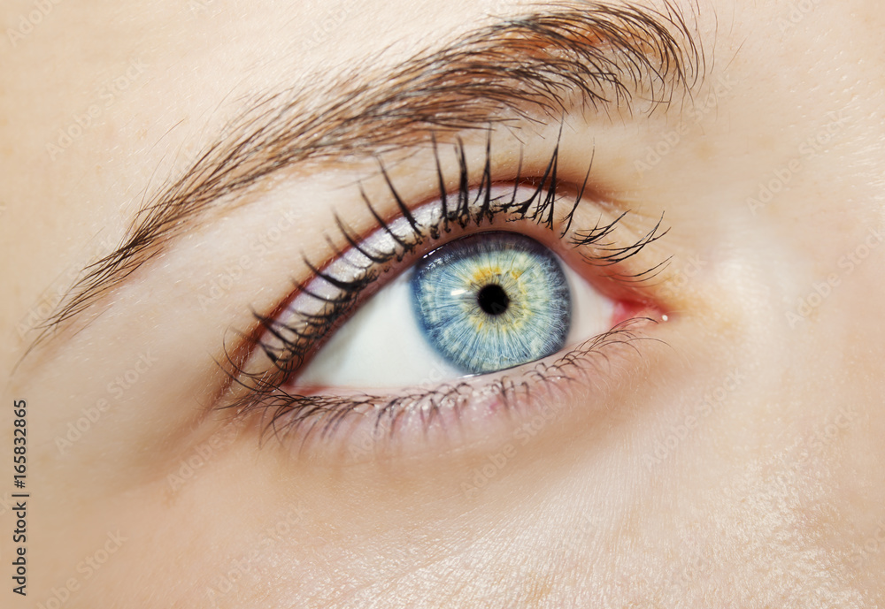 A beautiful insightful look woman's eye. Close up shot A beautiful insightful look woman's eye. Close up shot