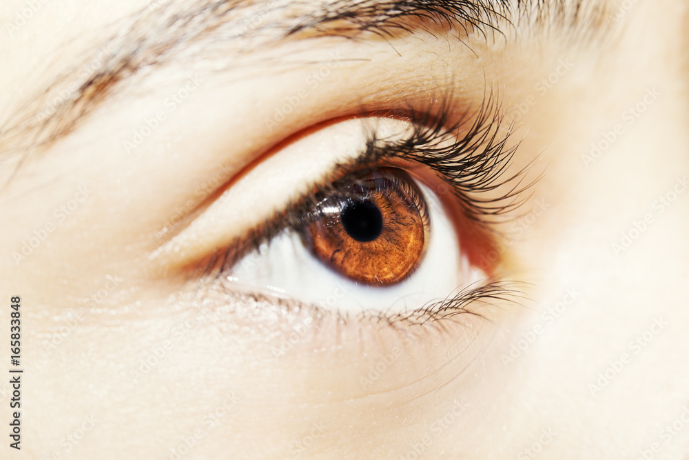 Obraz premium A beautiful insightful look woman's eye. Close up shot