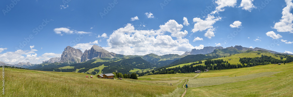 Panorama Seiser Alm / Südtirol