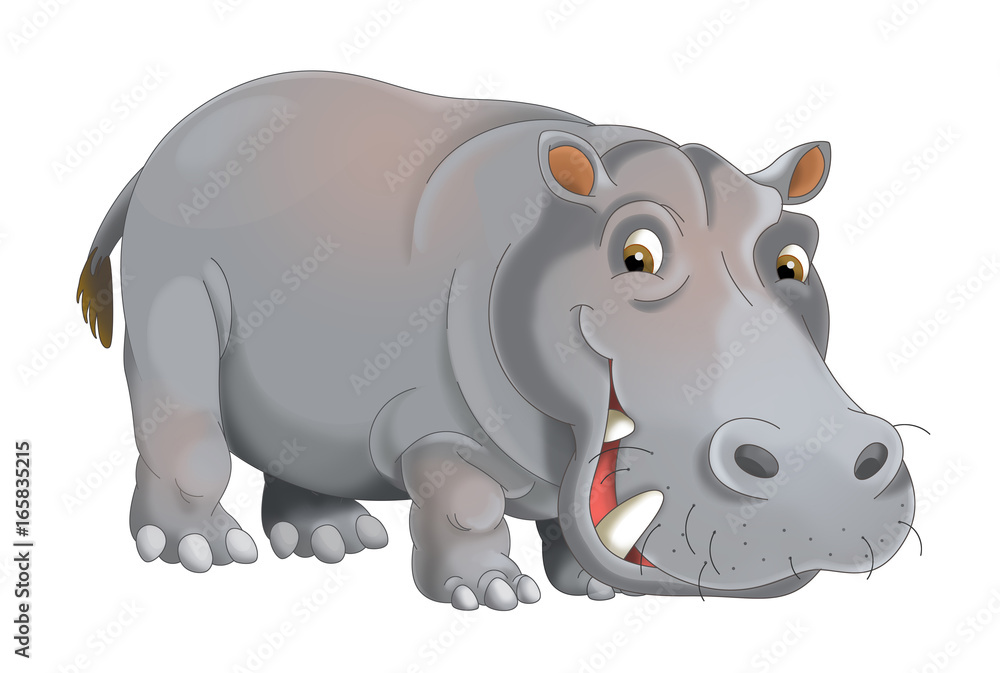 Fototapeta premium cartoon animal hippo - illustration for children