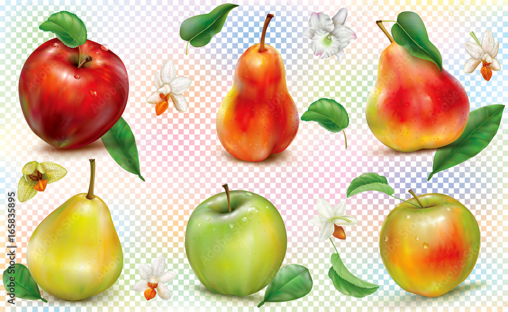 Apples and pears on transparent background Stock Vector | Adobe Stock