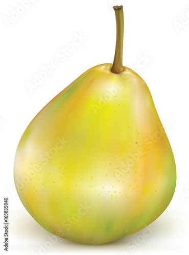 Green pear on white background