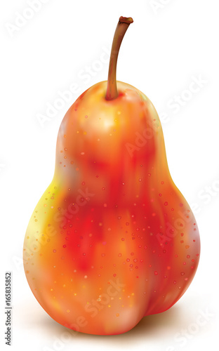Red pear on white background