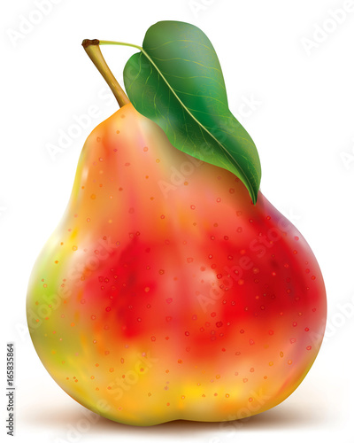Vector of red pear on white background
