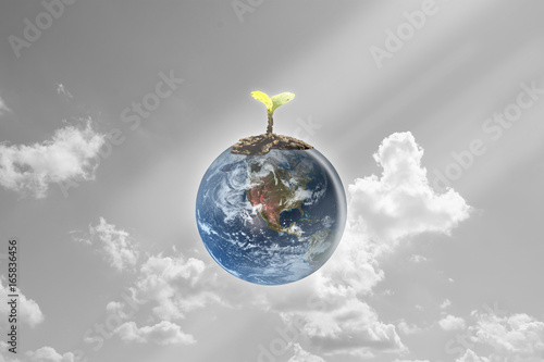 Young seedlings planted on the globe  earth with sky and cloud background. Element of this image furnished by Nasa. 3D illustration.
