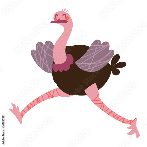 OstrichCute