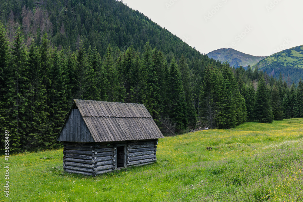 Traditional wooden hut in Tatra mountains at Dolina Chocholowska